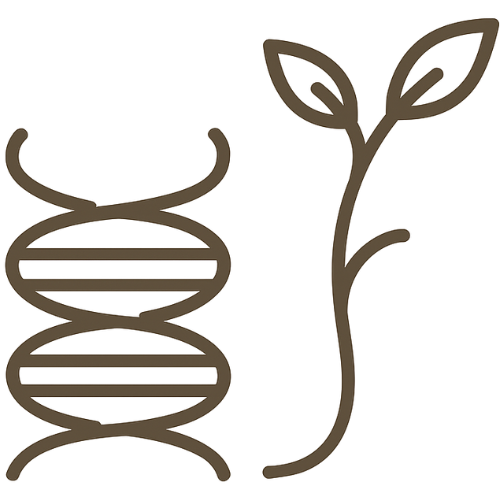 Estimulación de colágeno